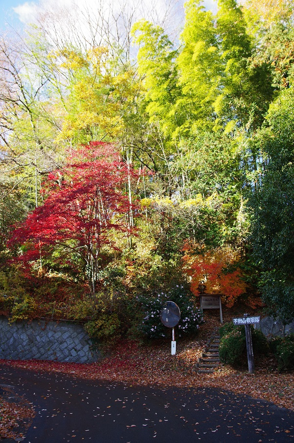 秋の大町側入口の紅葉